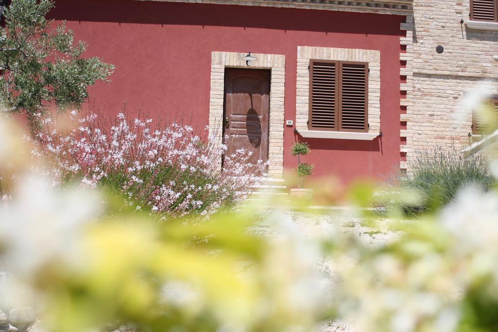 Dimora Rosso Piceno Bed & Breakfast Offida Exterior photo